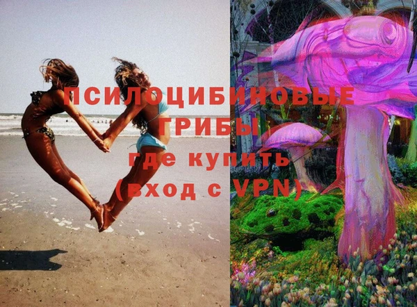 стаф Лихославль