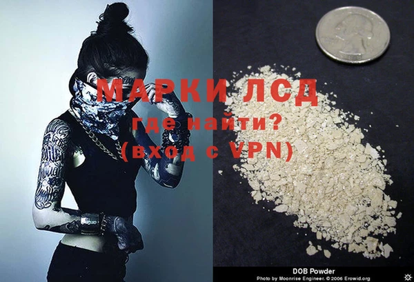 шишки Ладушкин