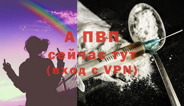 стаф Лихославль