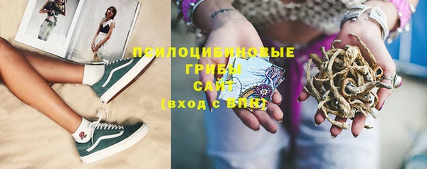 стаф Лихославль