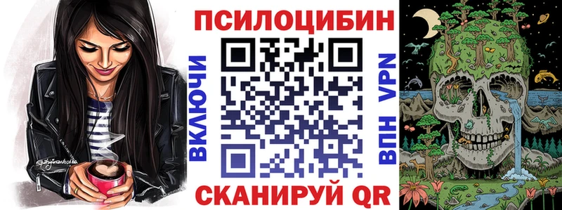 MEGA ТОР  купить закладку  Кочубеевское  Галлюциногенные грибы Cubensis 